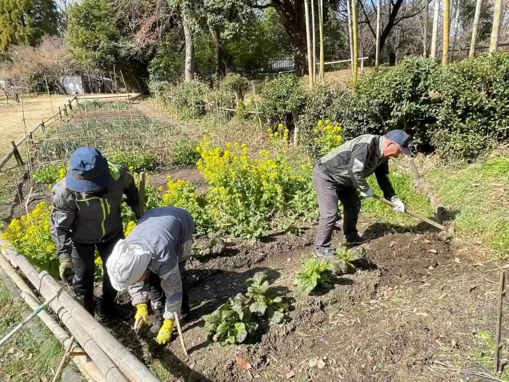 日本民家集落博物館　田畑