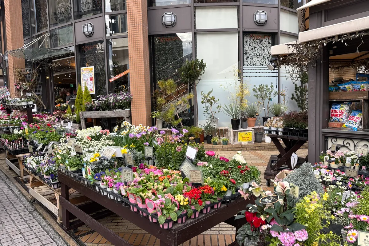 JR摂津本山駅北側すぐの「二楽園」に、春らしい花が勢ぞろい！