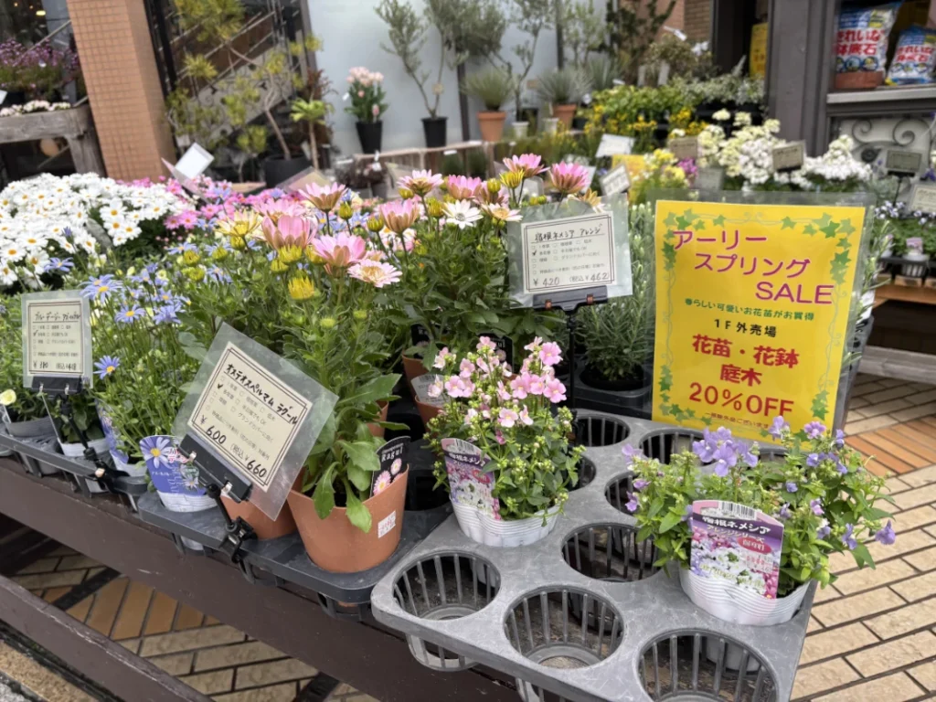 二楽園のスプリングセール