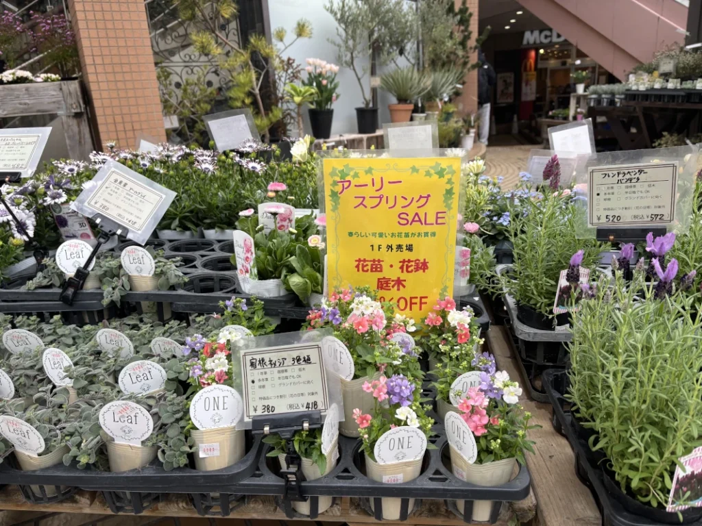 二楽園お花のセールの画像2