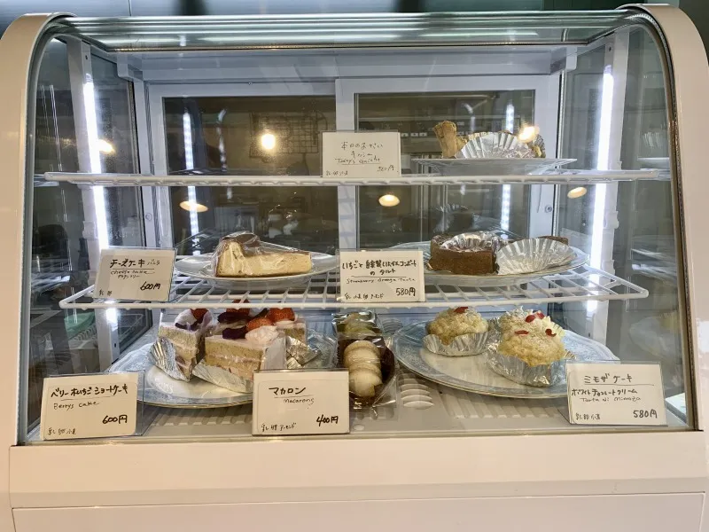 ノエマ　ショーケース