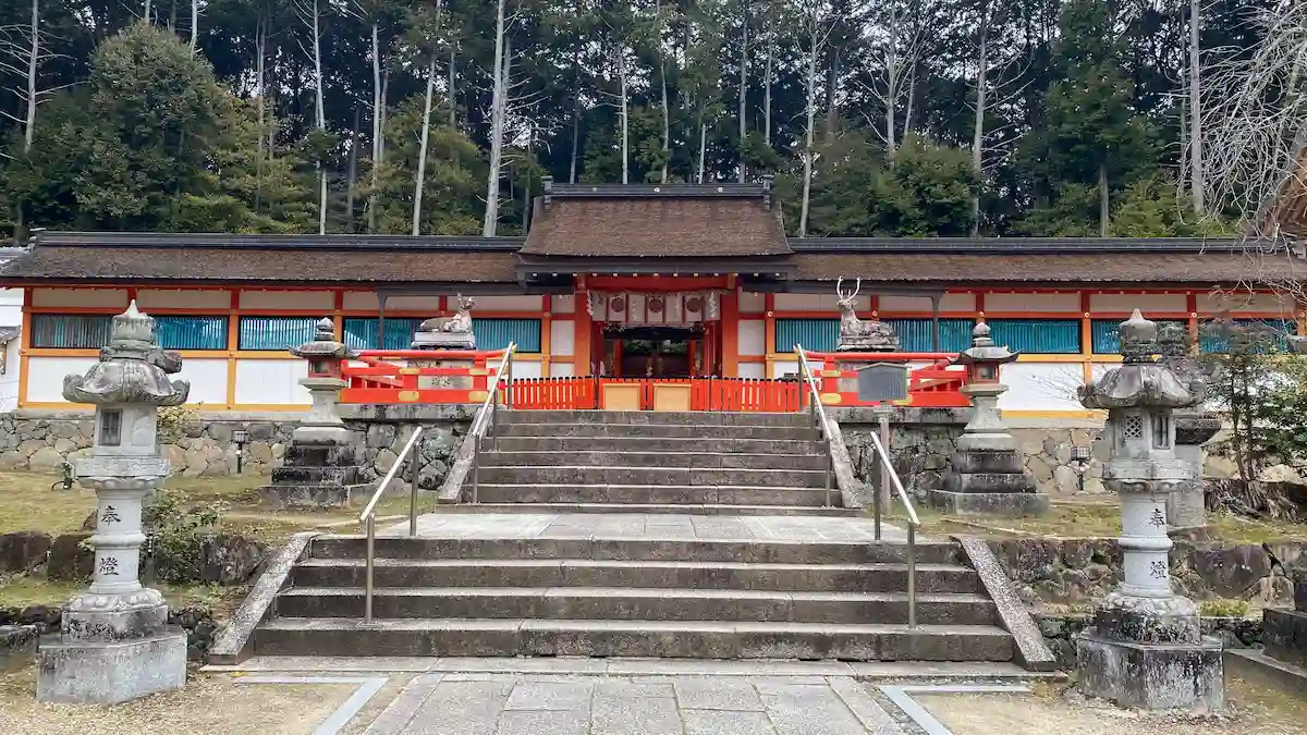 【京都・大原野神社】3月25日～4月10日桜開花の期待！千の願い叶う“千眼桜”