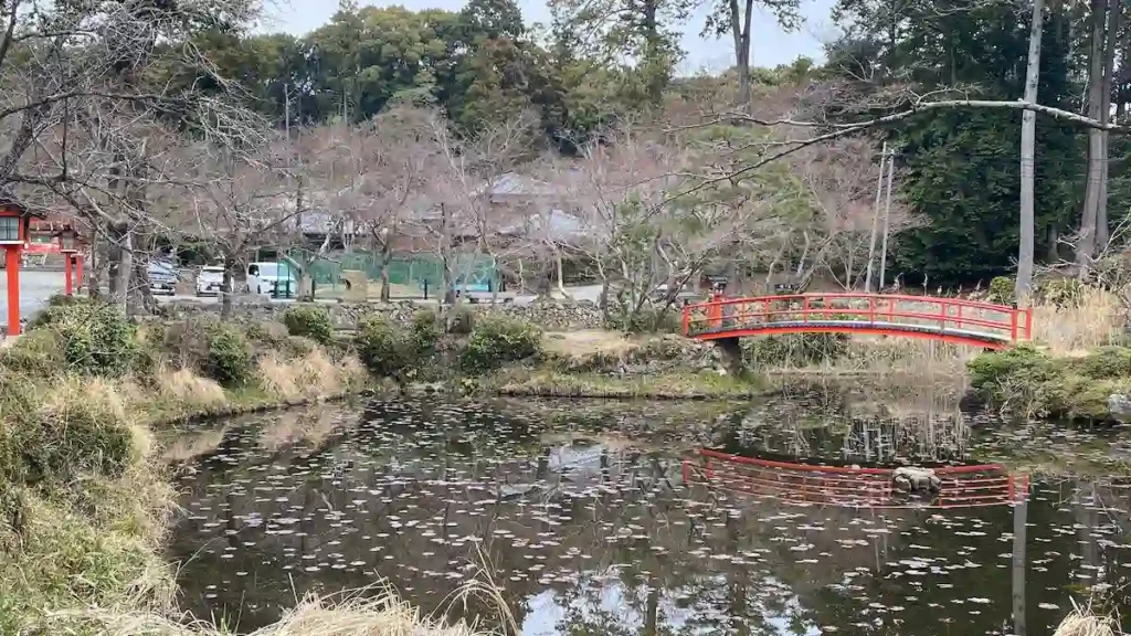 大原野神社の池と桜の開花前の木