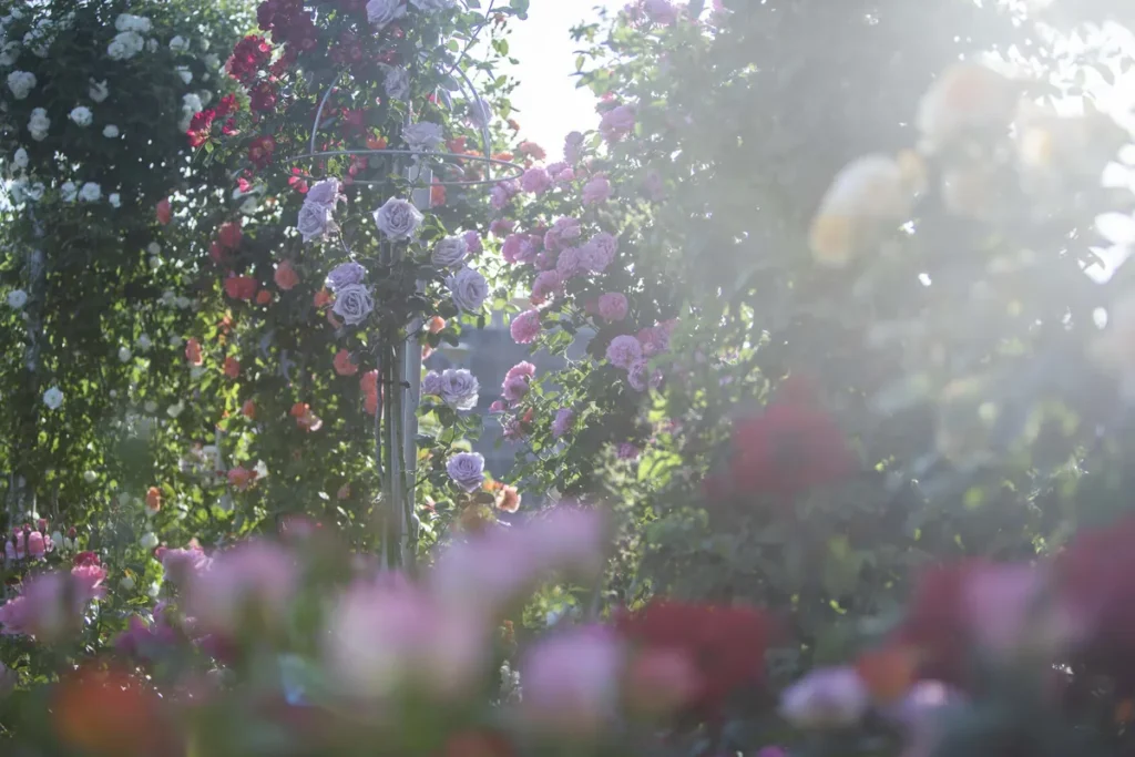 オッペン化粧品　３