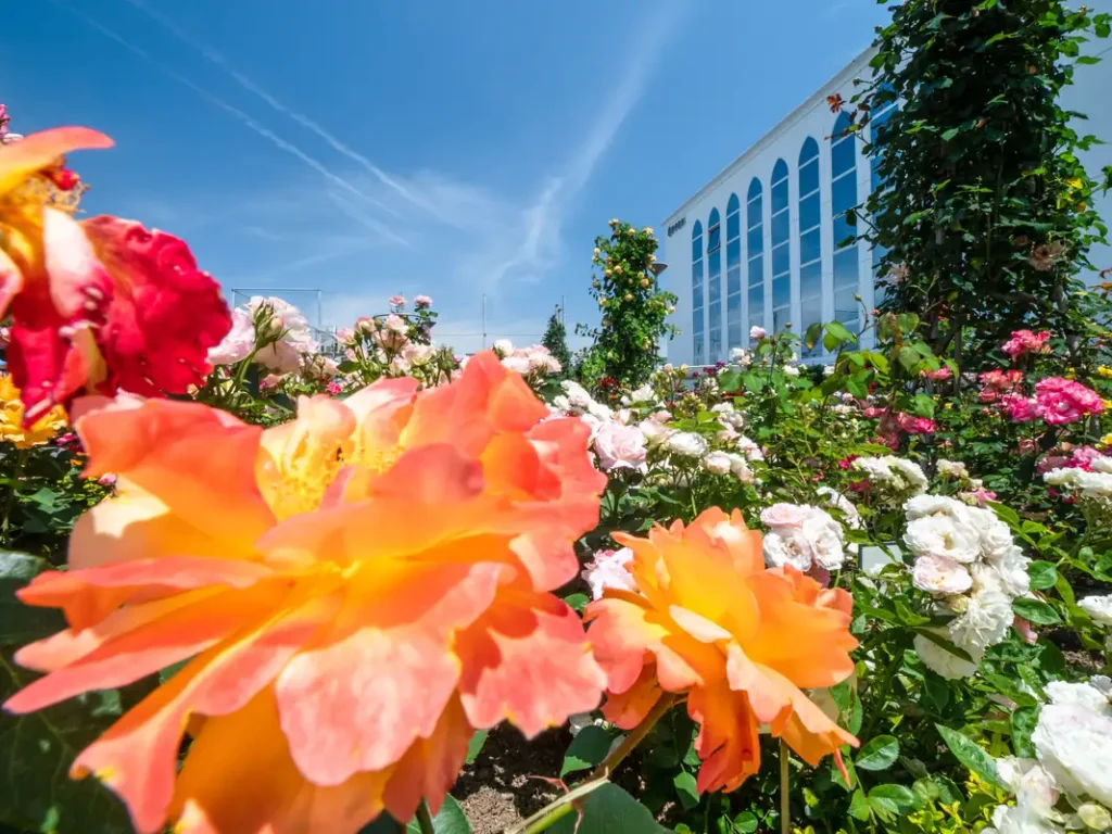 オッペン化粧品　１