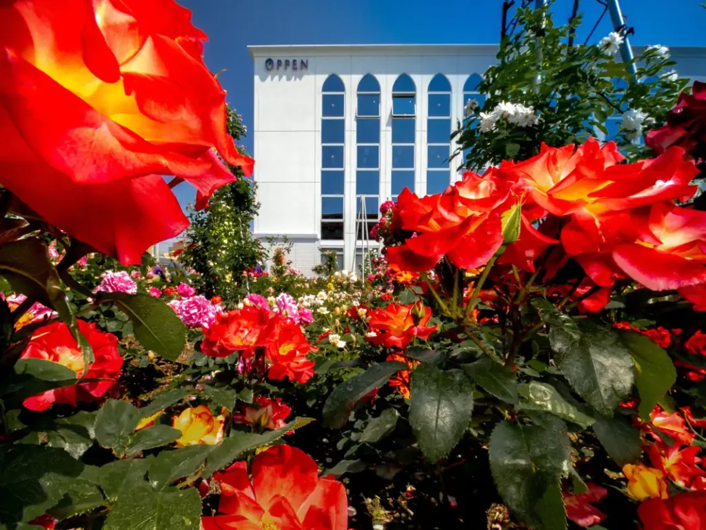 オッペン化粧品　２