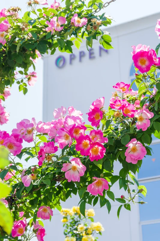 オッペン化粧品　６