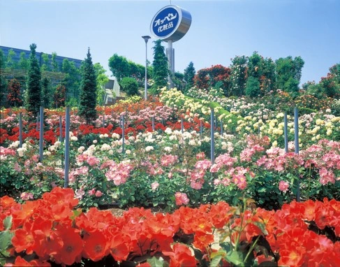 オッペン化粧品　２