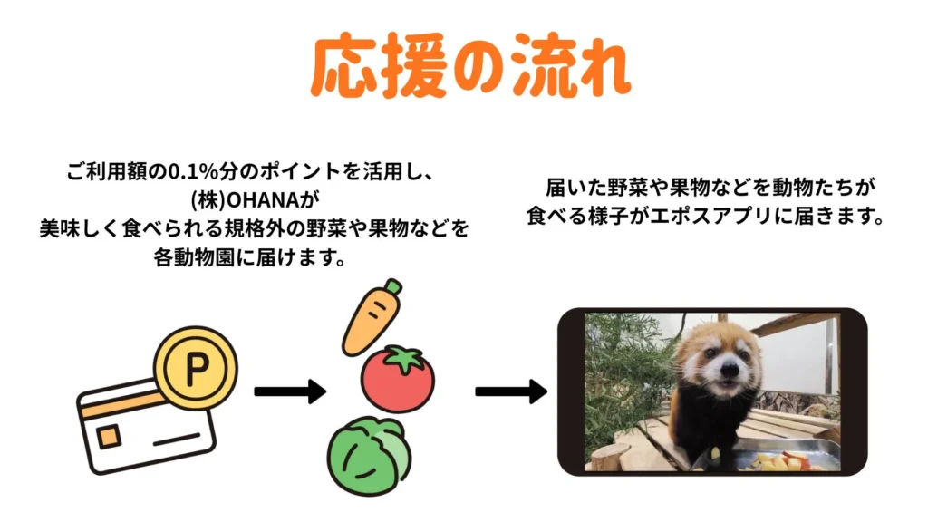 どうぶつエポスカード　応援の流れ