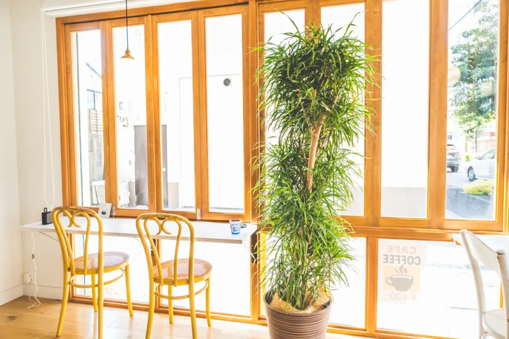 PauHana カウンター席1