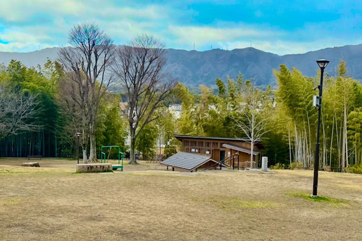 向日市｜ガイド付きで楽しむ！タケノコ掘り体験ツアー