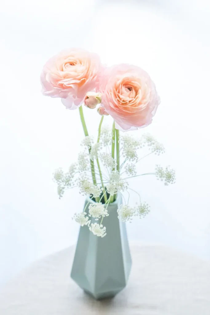 ラナンテラス　購入分