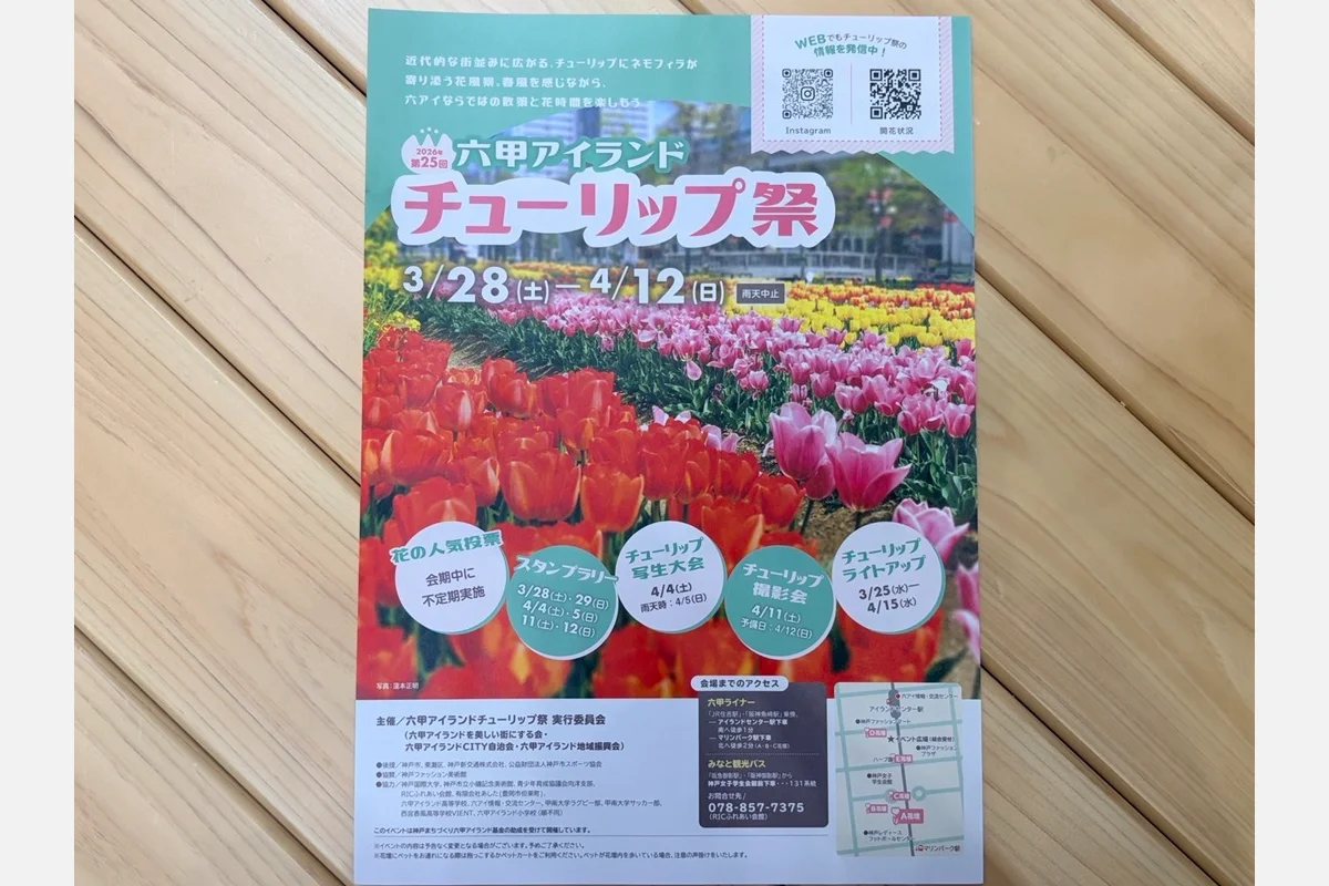 3万本のチューリップが咲く「六甲アイランド チューリップ祭」開催中！
