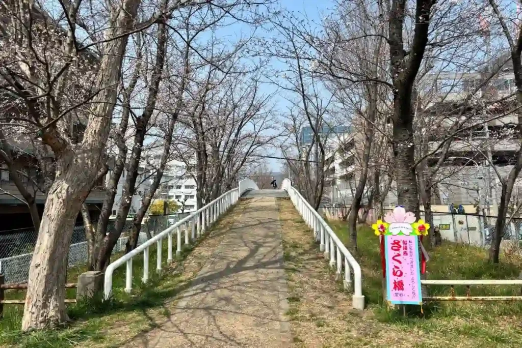 新船場南公園～新船場西公園　桜の散歩道　さくら橋