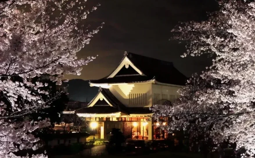 長岡京｜城と桜が幻想的に浮かぶ夜。勝竜寺城公園で夜桜ライトアップ