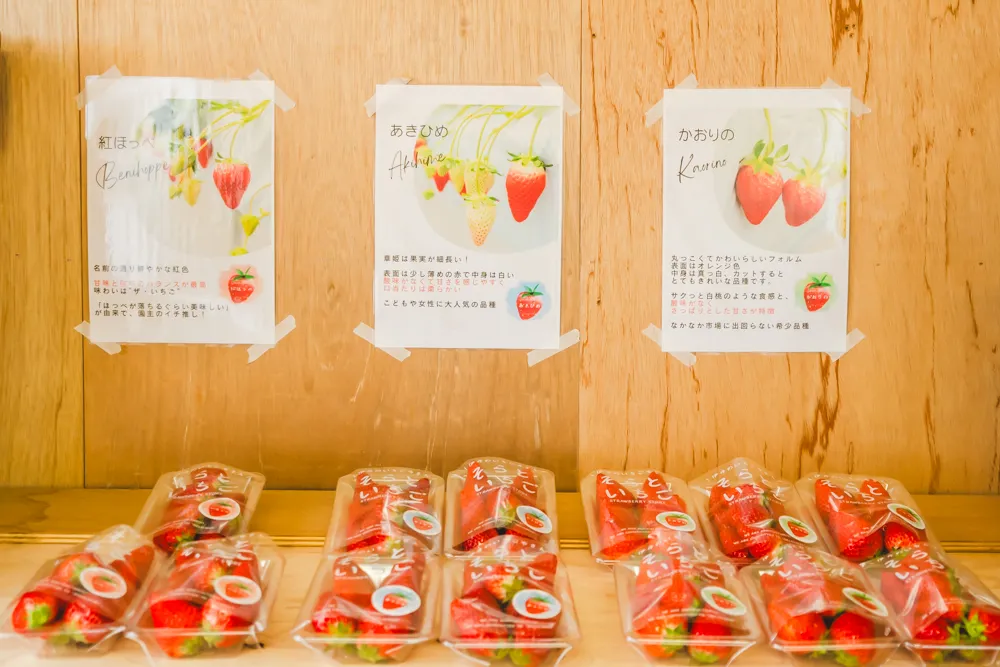 そらと。　種類説明