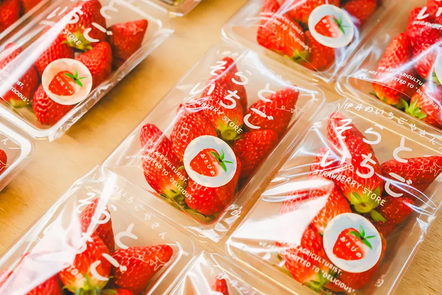 伊丹｜伊丹で育った朝採れいちご！【そらと。】直売所に行ってきました！