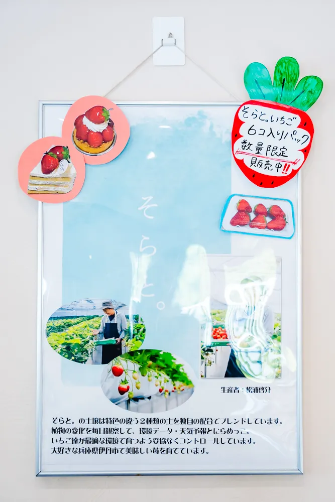 セクブブレ　そらと。いちご