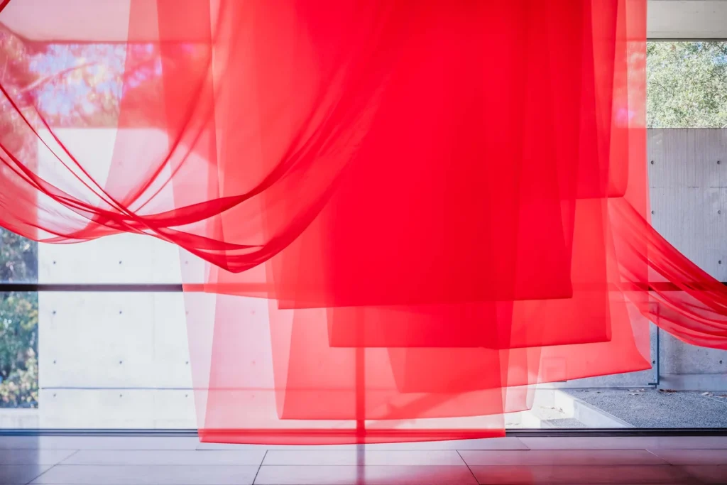 UMEKITA ART PICNIC カーテン