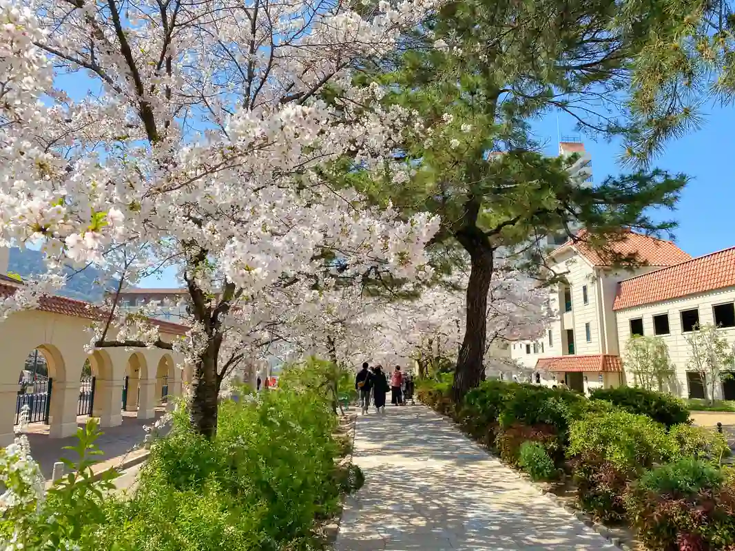 宝塚TOKK検定にチャレンジしよう！ あなたは何問正解できるかな？ 【第5回】