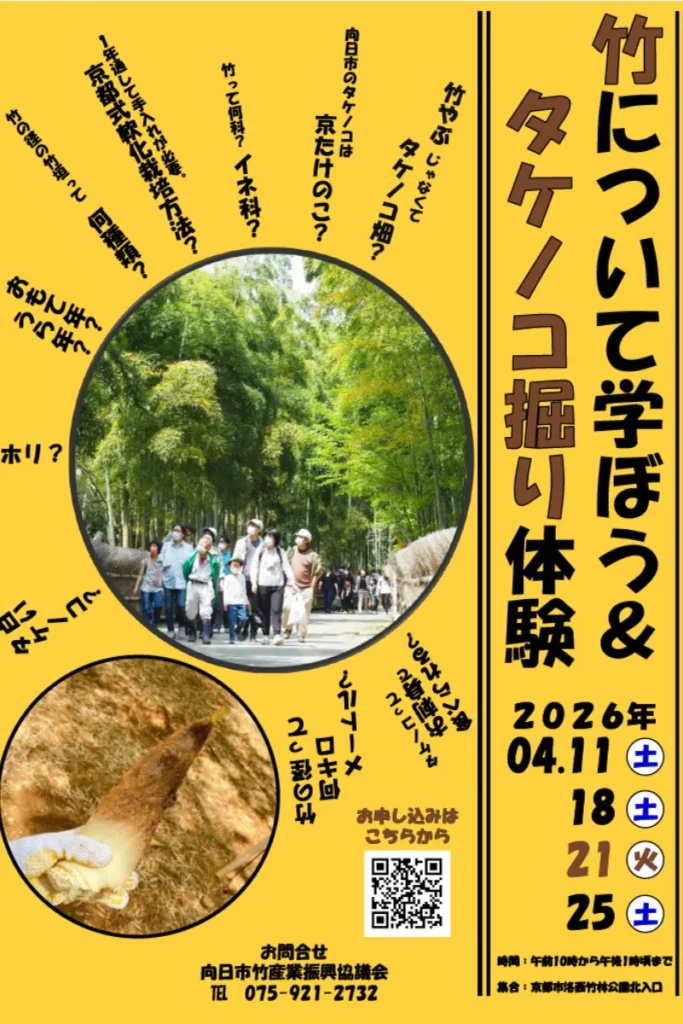 タケノコ堀り体験チラシ表