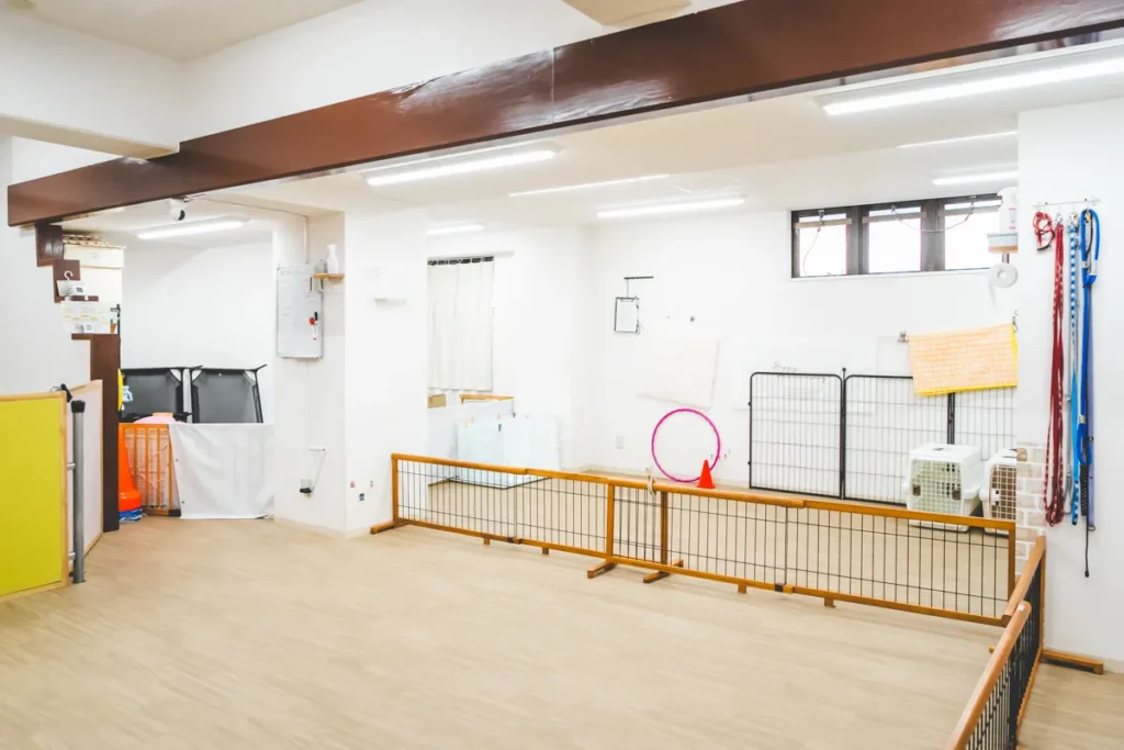 Wan NERO 室内遊び場