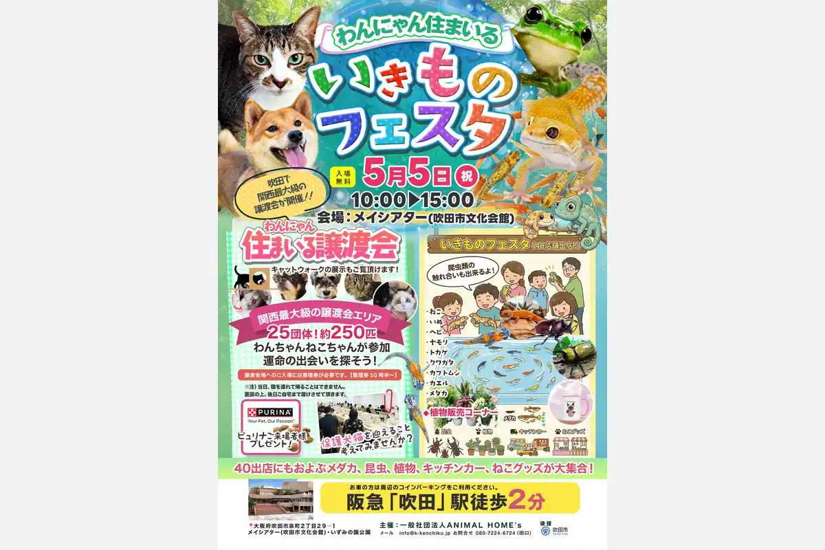 保護犬・猫250匹以上が参加予定！譲渡会といきものフェスタ
