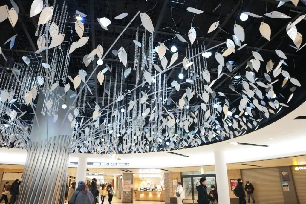 わすれな草　アクセス１