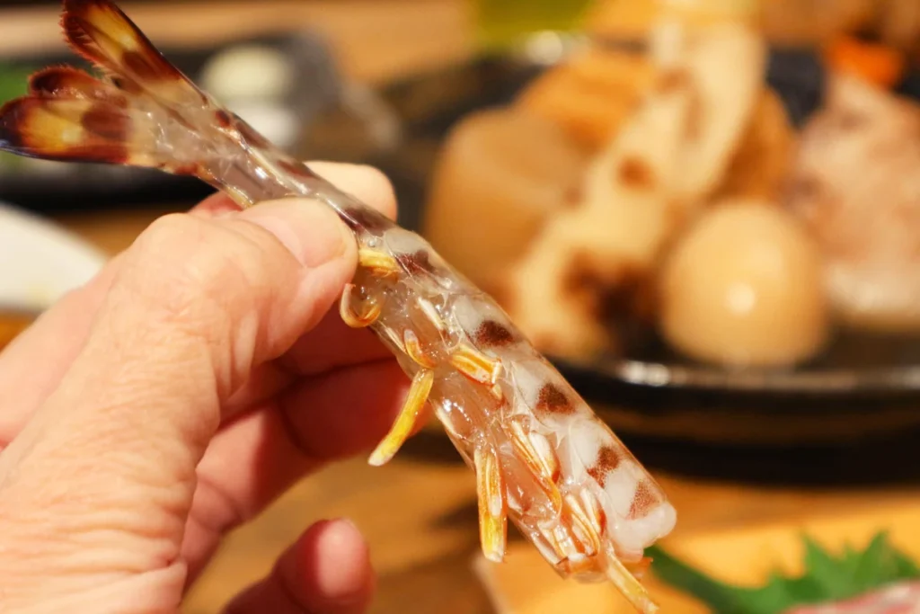 わすれな草　　海老