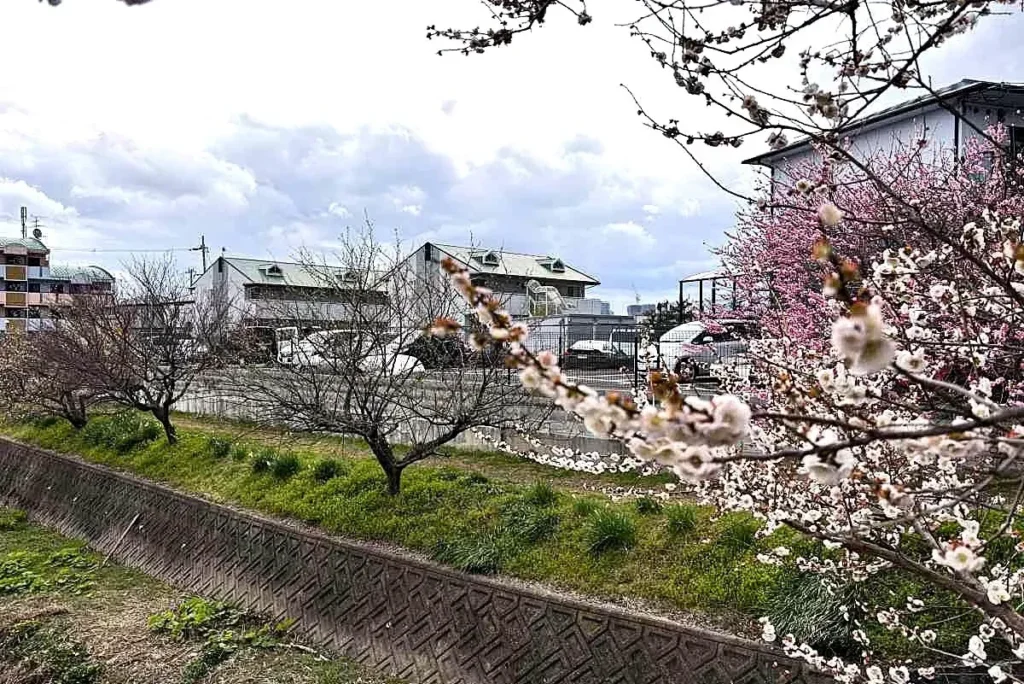 ゆるりとぶらり