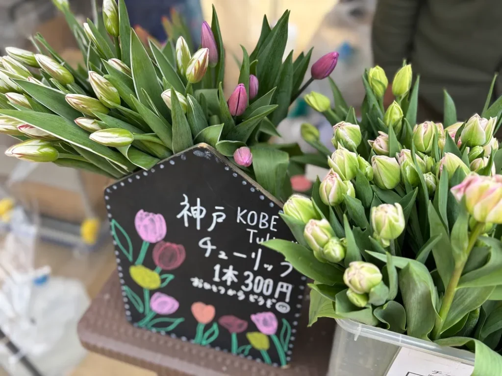 弓弦羽マルシェのチューリップの写真