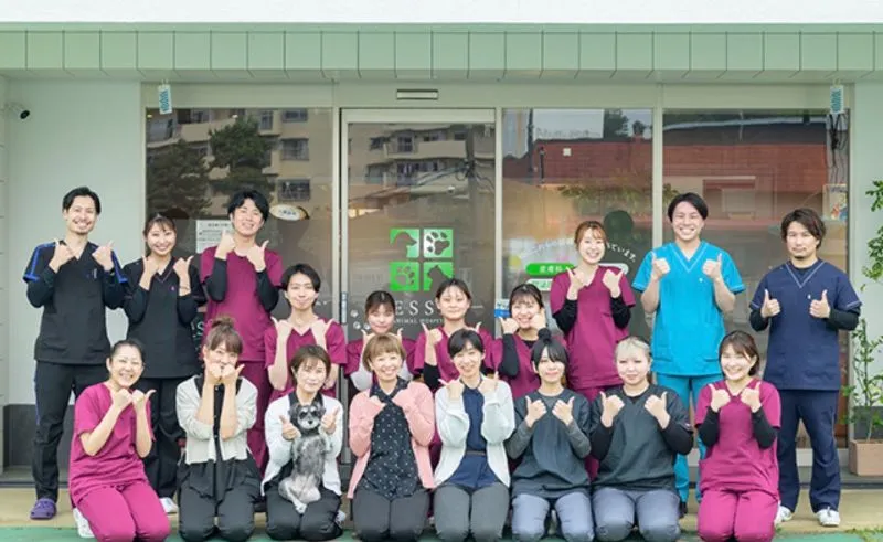 ESSE動物病院のスタッフ