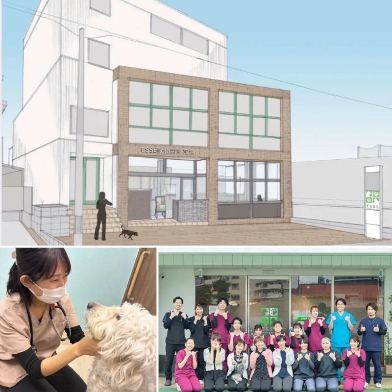 4月13日　専門的医療が受けられるESSE動物病院が宝塚に開院　内覧会でチェックしましょ