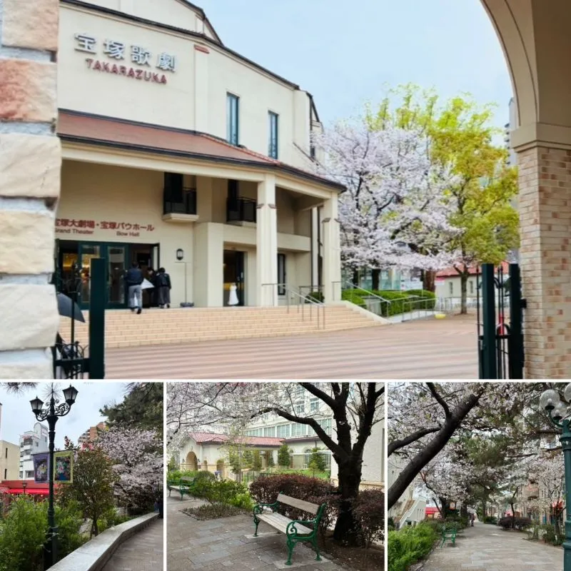 宝塚歌劇場とその周辺の桜