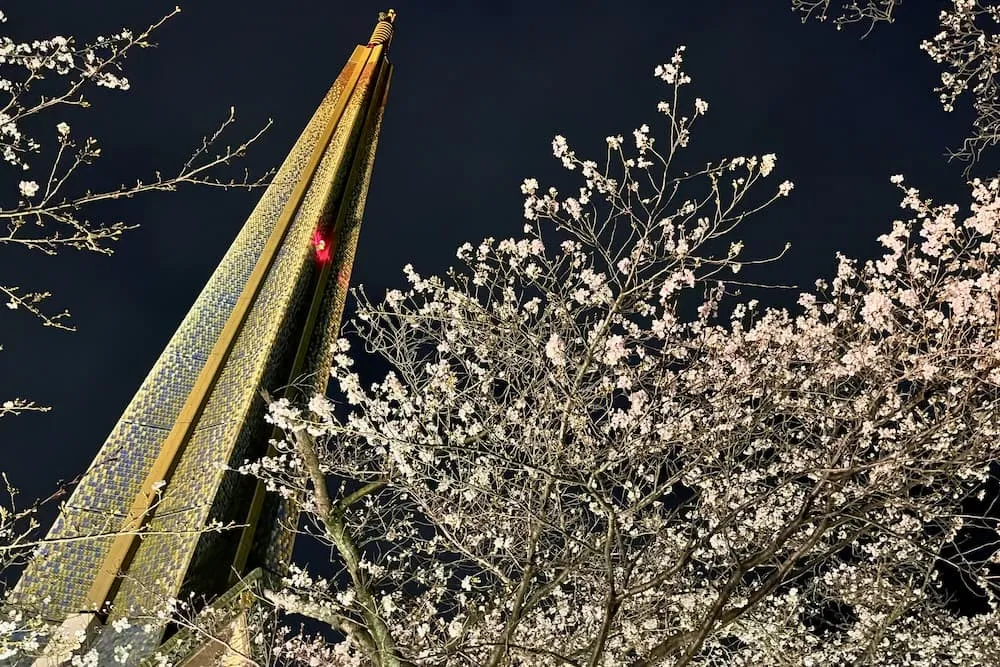 茨木辯天夜桜ライトアップと塔