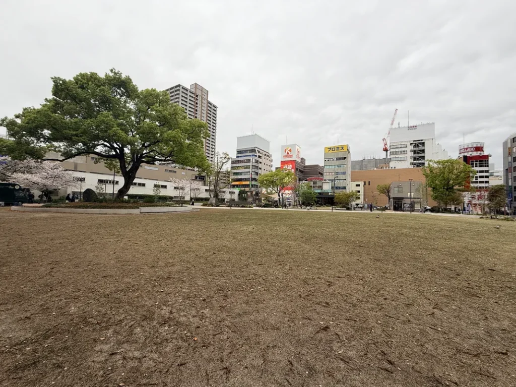 中央公園の芝生広場