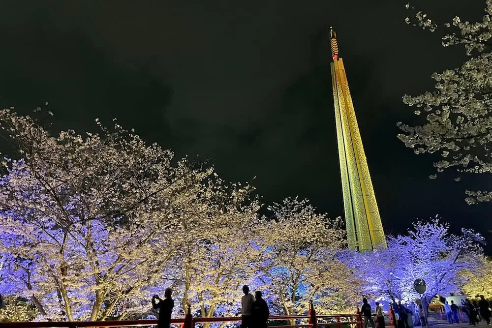 茨木辯天夜桜ライトアップに行ってきました｜実際の様子を紹介