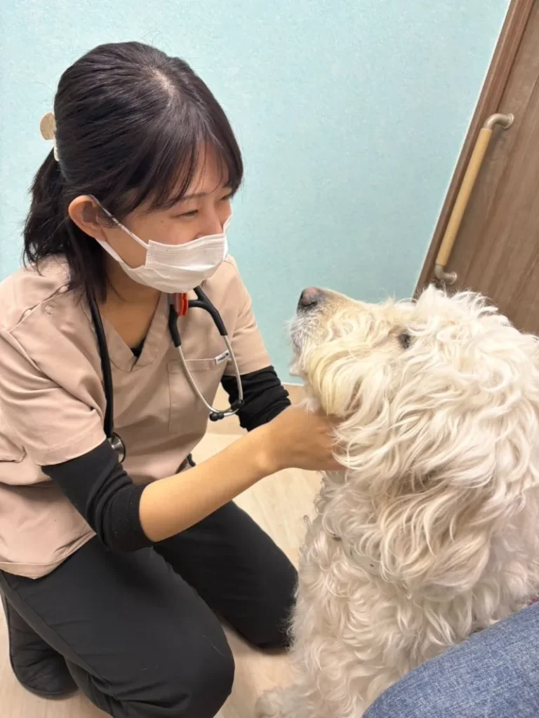 清水院長の診察風景