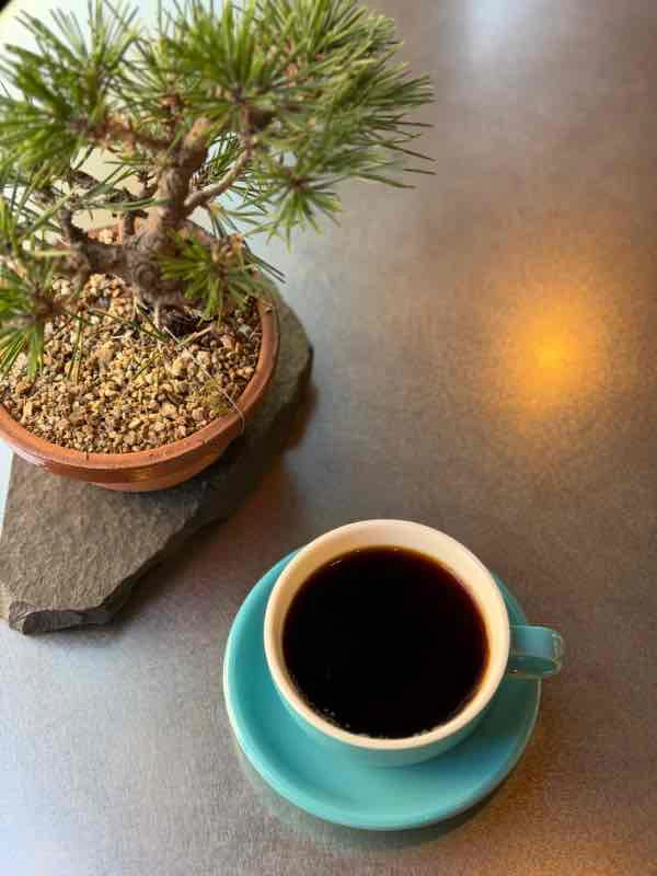 ホットコーヒー