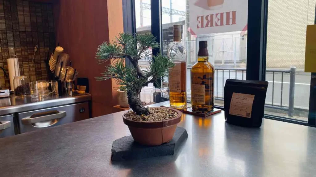 店内の盆栽