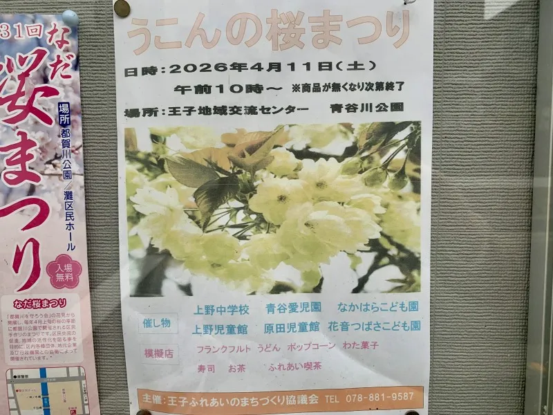 うこんの桜まつり　チラシ