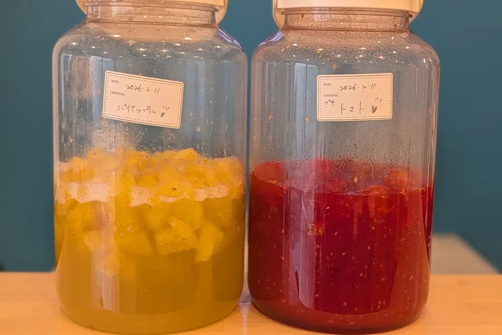 5月以降に新しく飲める？発酵ドリンク