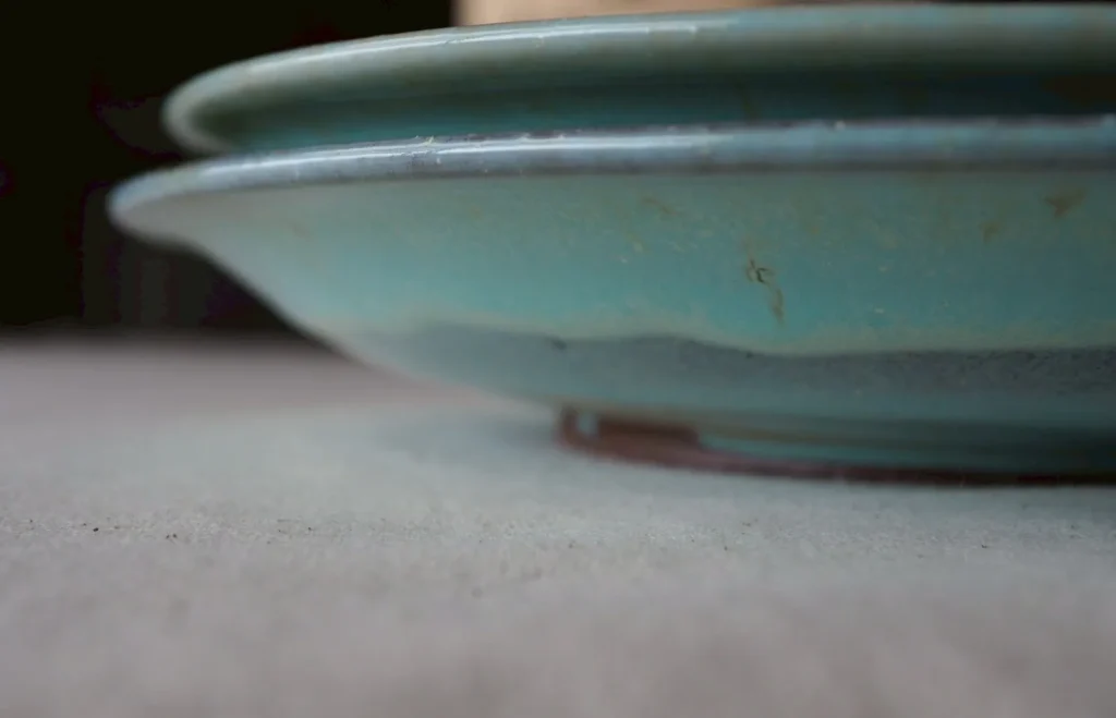 「ちいさな縁起」展 ゆーりさんの平皿