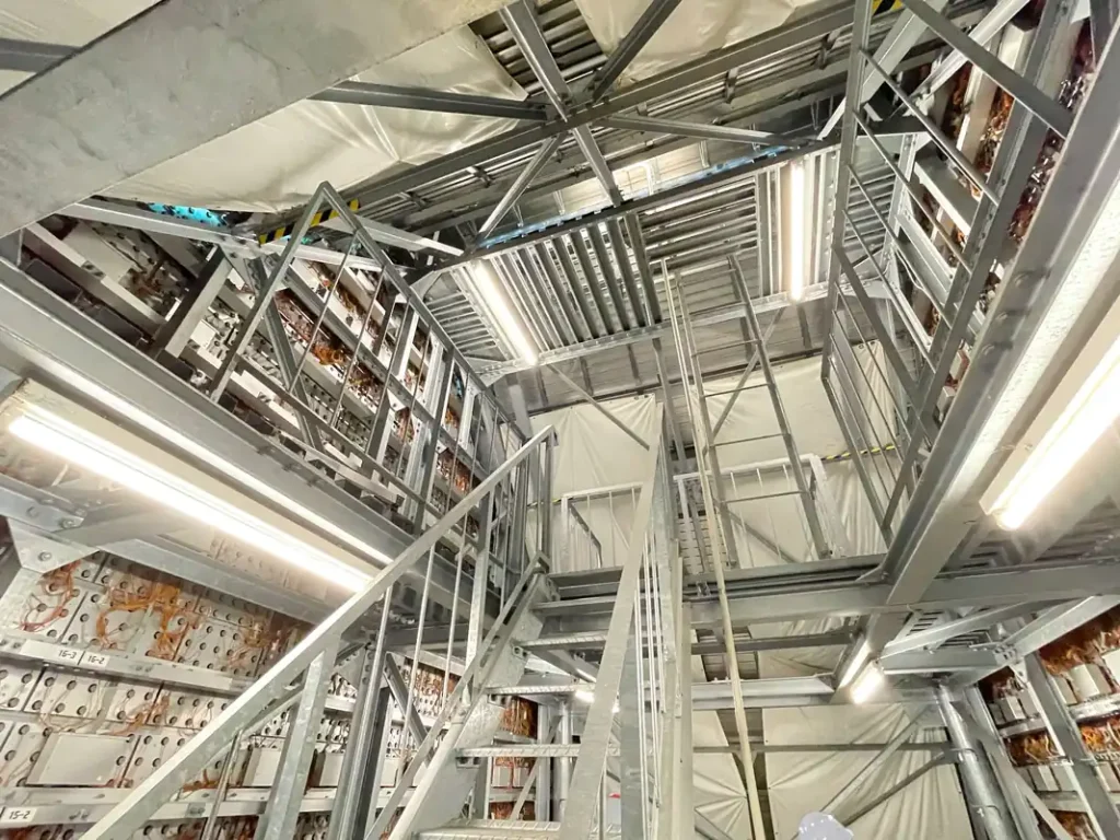 大ぴちょんくんの内部2