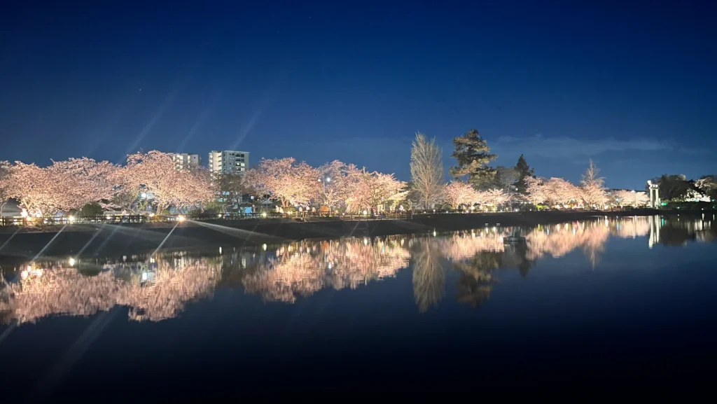長岡京　八条ヶ池　ライトアップ