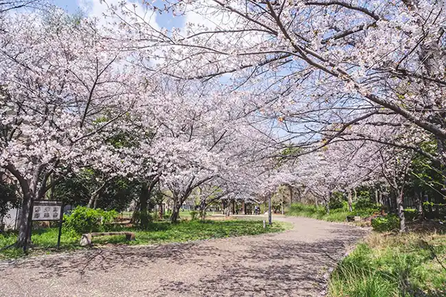 十六名公園　入口