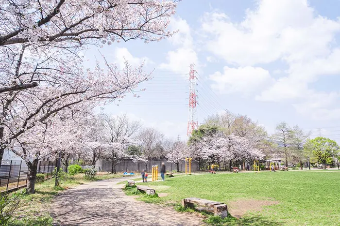 十六名公園　園内