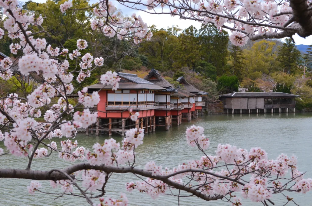 錦水亭　外観　春