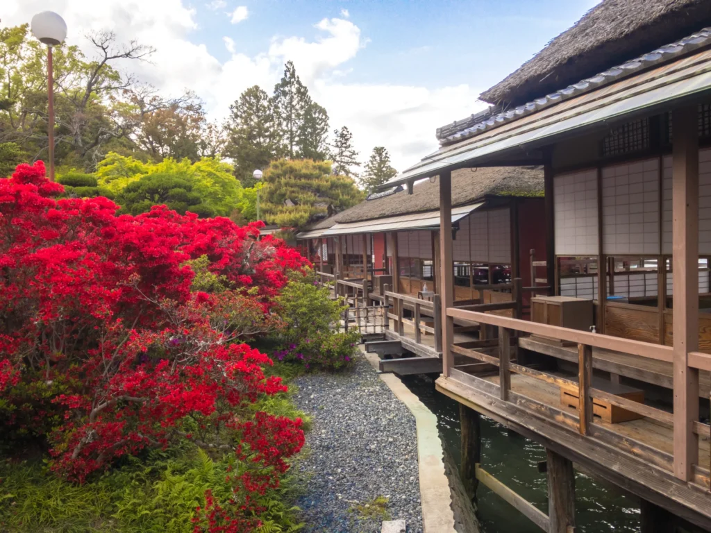 錦水亭　客間　キリシマツツジ
