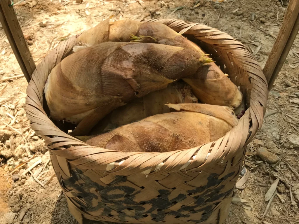 錦水亭　筍　篭